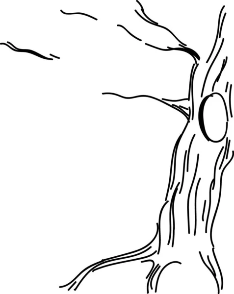 Croquis Arbre Sec Avec Creux — Image vectorielle