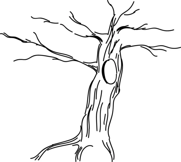 Bosquejo Árbol Seco Con Hueco — Vector de stock