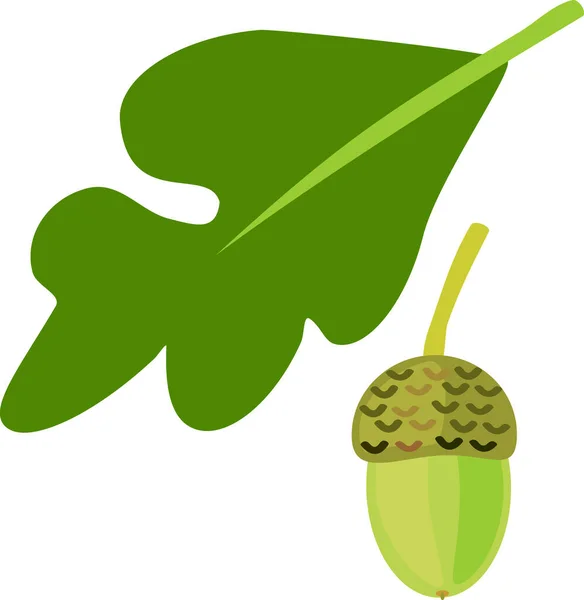 Cartoon Green Oak Leaf Acorn Isolated White Background — Stock Vector