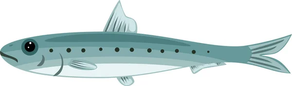 Cartoon Sardine Fish Isolated White Background — Stock Vector