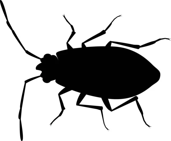 Zwart Silhouet Van Vuurwants Pyrrhocoris Apterus Geïsoleerd Witte Achtergrond — Stockvector