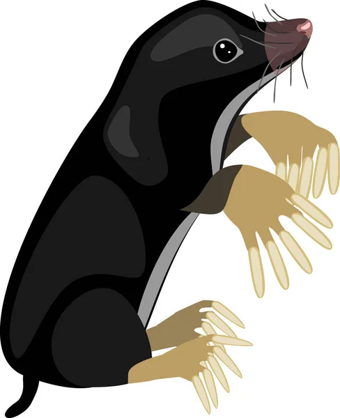 Cartoon Mole Aislado Sobre Fondo Blanco — Vector de stock