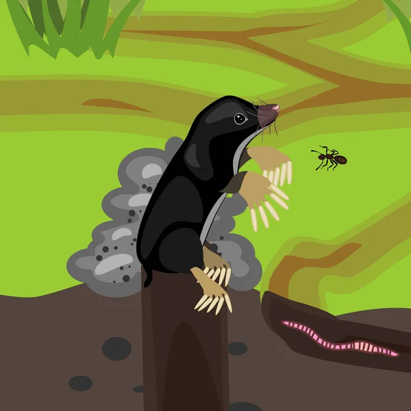 Karikaturschwarzer Maulwurf Auf Maulwurfshügel Und Regenwurm Natürlichem Lebensraum — Stockvektor