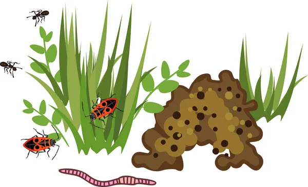 生物学的要素 白い背景に隔離されたミミズ 軟体動物 アリと緑の草 土壌表面の住民 — ストックベクタ
