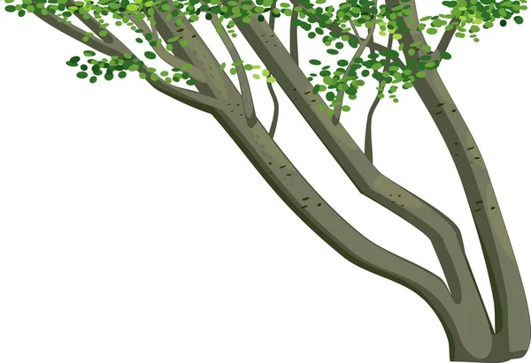 Abstrakte Anmutige Baumstämme Mit Grünen Blättern Isoliert Auf Weißem Hintergrund — Stockvektor