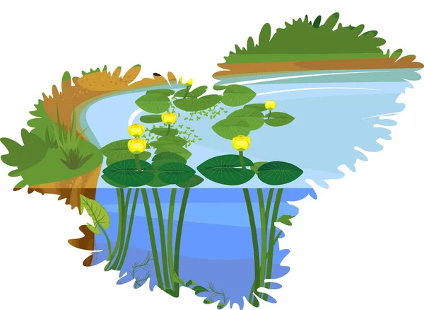 浅浅的卡通画景观 蓝池繁茂 黄花百合花 绿叶繁茂 — 图库矢量图片
