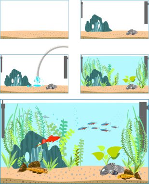 bir akvaryum oluşturma aşamaları