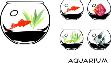 fishbowl kümesi