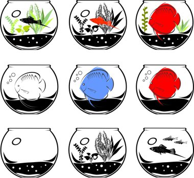 fishbowl kümesi