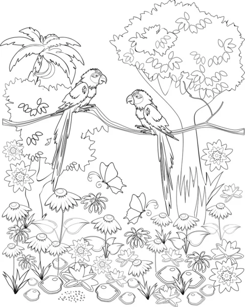 Coloriage avec perroquets sur branche — Image vectorielle