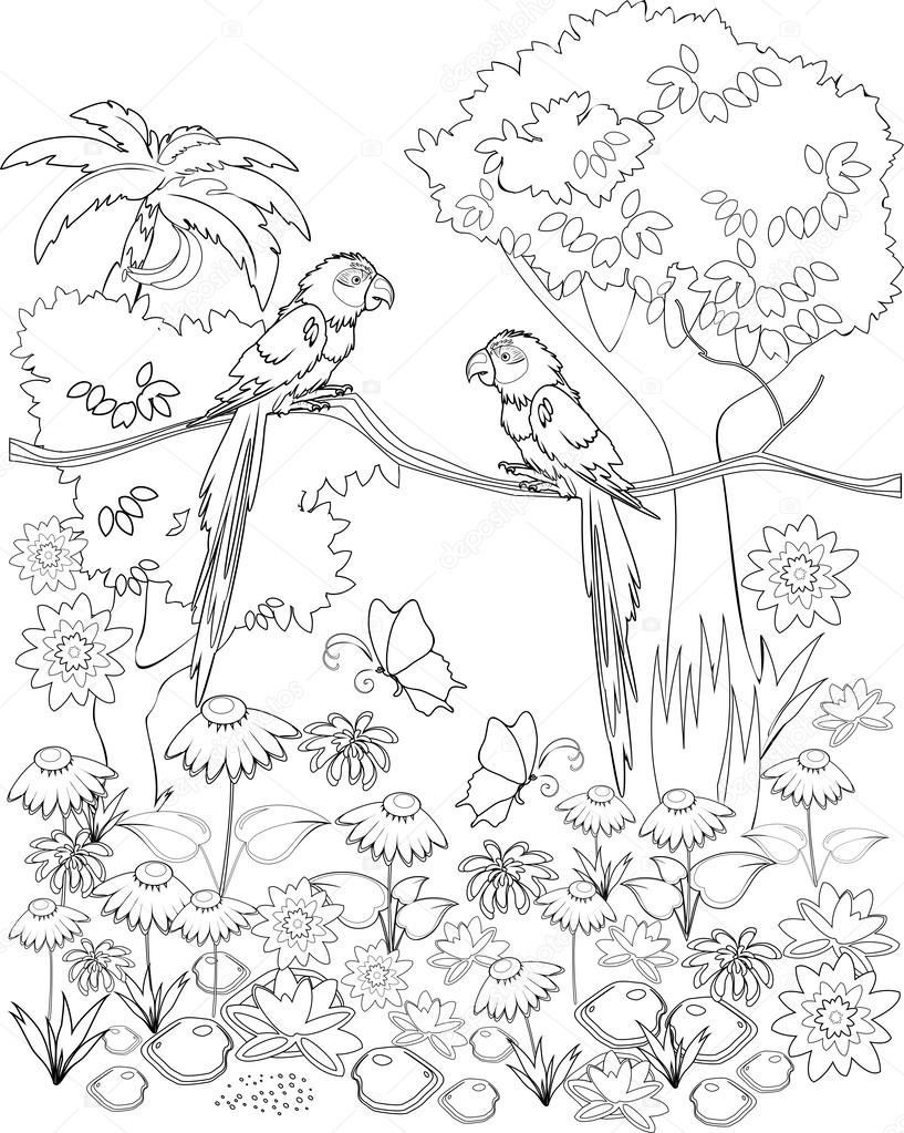 Coloring with parrots on branch