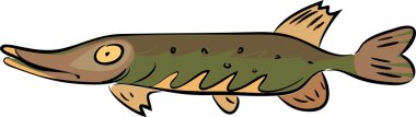 Sketch of Northern pike clipart