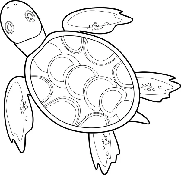 Färga med havssköldpaddan — Stock vektor
