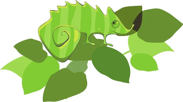 Camaleón verde en hojas — Vector de stock
