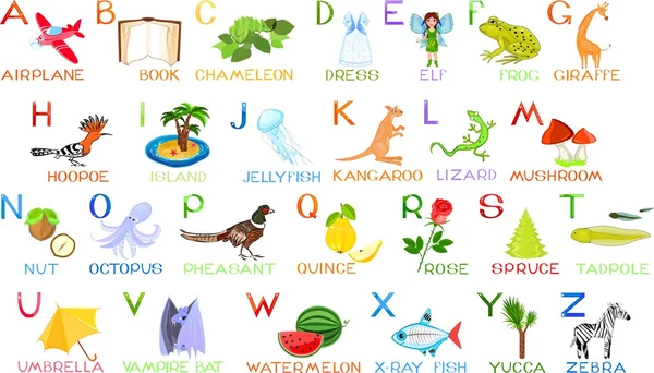 Englisches Alphabet mit Bild — Stockvektor