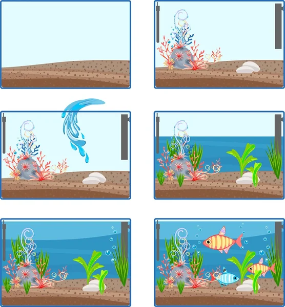 Stages of creating an aquarium — Stock Vector