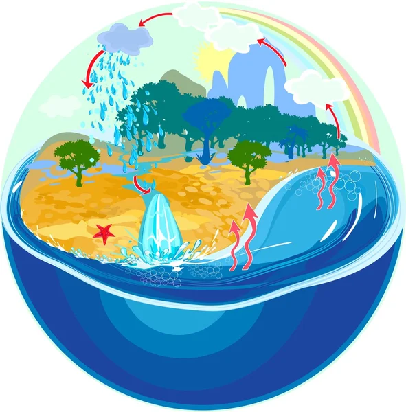 Ciclo del agua en la naturaleza — Vector de stock