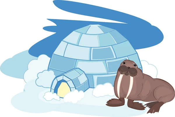 Walrus with igloo ( ice house) — Stock Vector