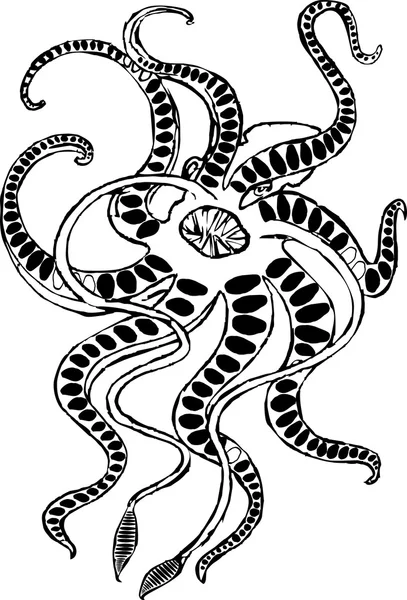 Monstre marin mythique Kraken — Image vectorielle