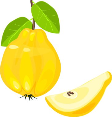 Yellow quince fruit clipart