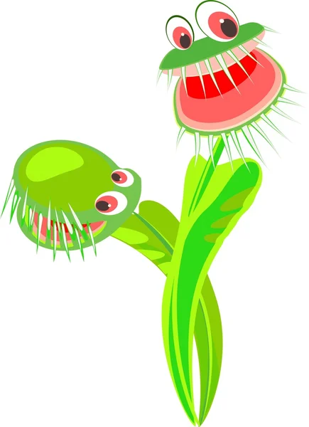 Venus flytrap predator bunga - Stok Vektor