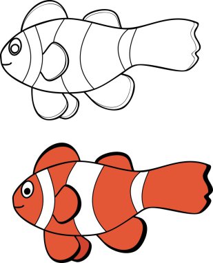 Beyaz arka plan üzerinde palyaço balığı