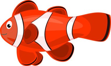 Beyaz arka plan üzerinde palyaço balığı