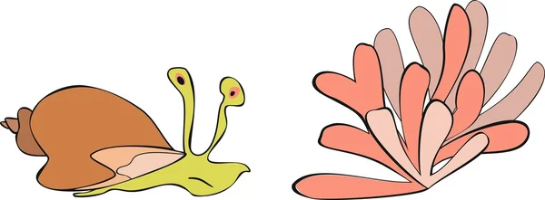Escargot et anémone — Image vectorielle