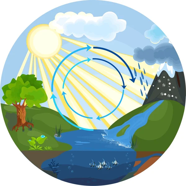 Le cycle de l'eau — Image vectorielle