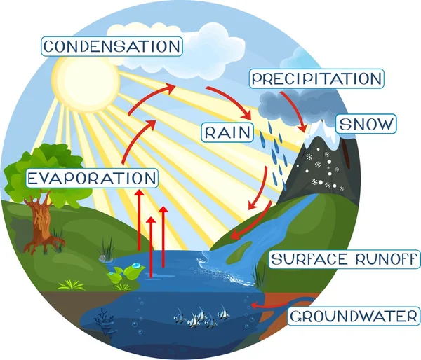 Le cycle de l'eau — Image vectorielle