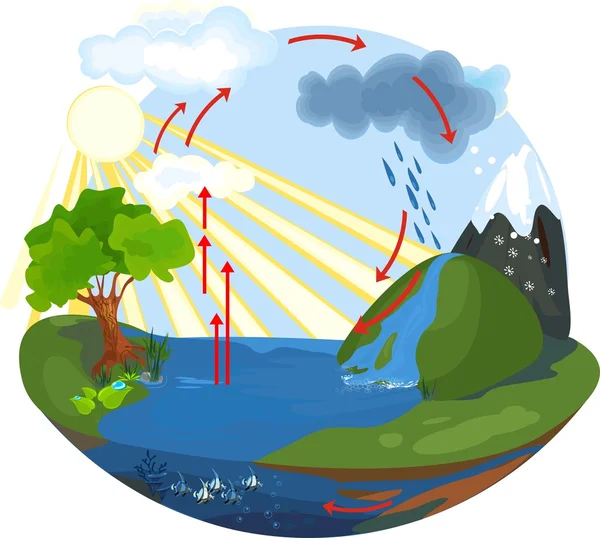 Il ciclo dell'acqua — Vettoriale Stock