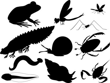 Silhouettes of inhabitants of pond vector Silhouettes of inhabitants of pond vector