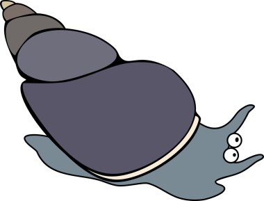 Su yumuşakça lymnaea stagnalis