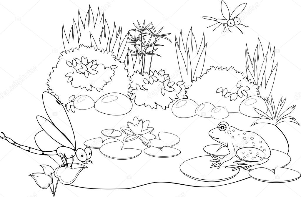 Coloring with inhabitants of pond premium vector in Adobe Illustrator