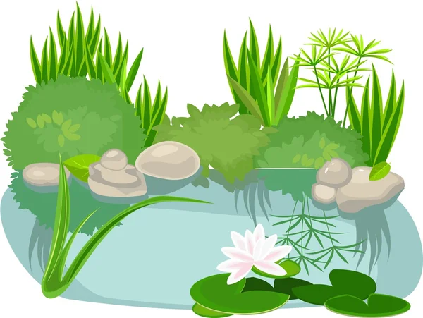 Aménagement paysager de l'étang sur fond blanc — Image vectorielle