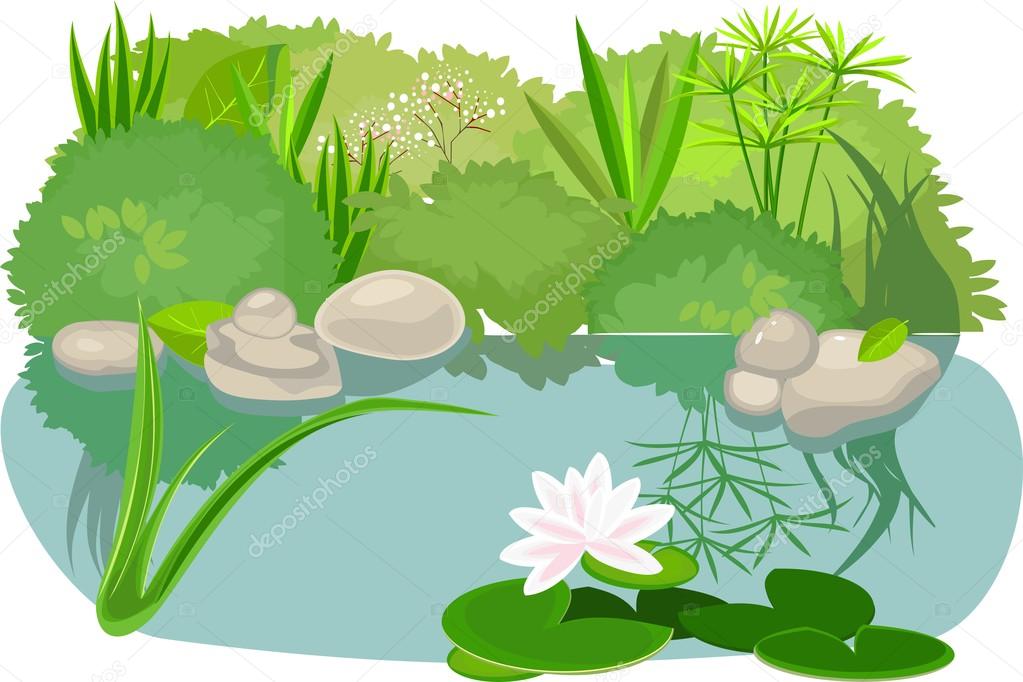 Pond landsaping on white background