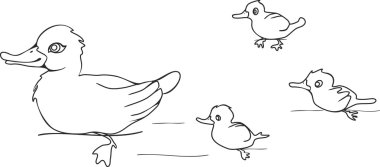 Boyama ördek ile ördek yavrusu