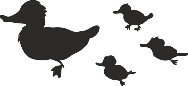 Silueta de pato con patitos — Vector de stock