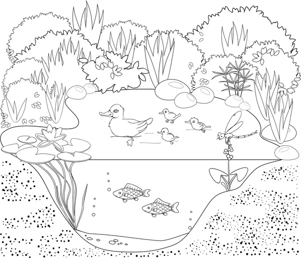 ecosystem of pond picture clipart