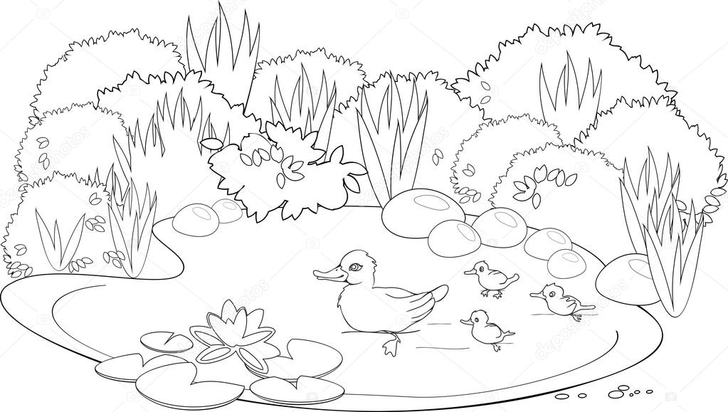 Káº¿t quáº£ hÃ¬nh áº£nh cho coloring duck