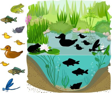 Gölet sakinleri gölgesi bulmak