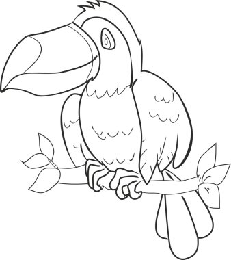 Toucan ile boyama