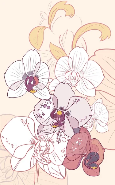 Contexte avec des orchidées — Image vectorielle