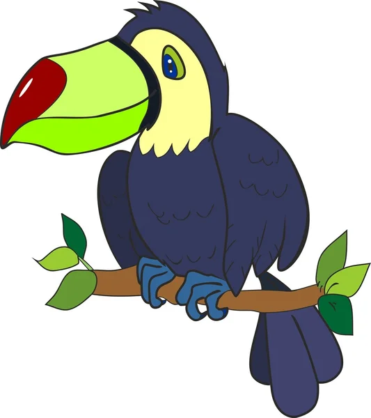 Carino toucan seduto su ramo d'albero — Vettoriale Stock