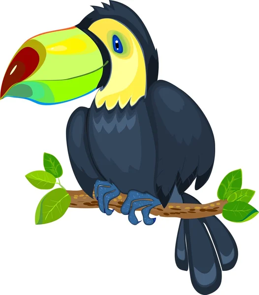 Cute toucan sitting on tree branch — Stock Vector