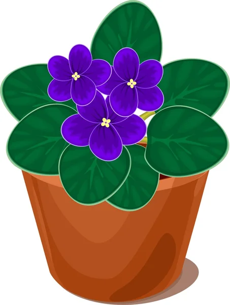 Fleur violette africaine en pot sur fond blanc — Image vectorielle