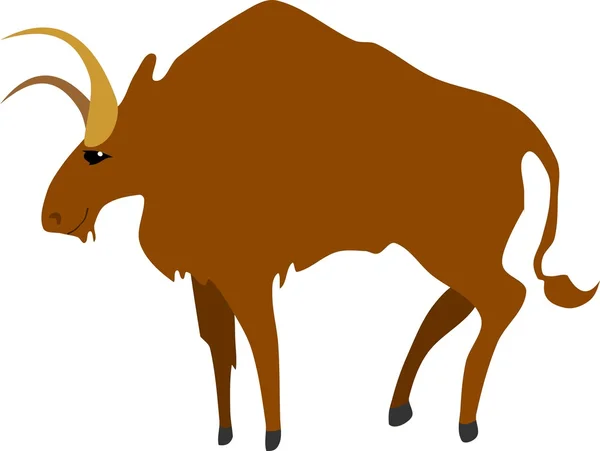 Buffalo on white background — Stock Vector