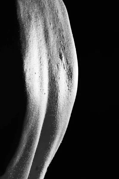 女性身体 臀部的黑白线 — 图库照片