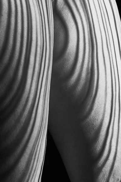 Black White Line Female Body Back Hips Buttocks — Stock Photo, Image