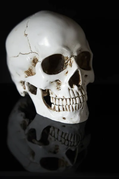 黒の背景に人間の頭蓋骨を石膏 解剖学 コロナウイルスCovid スカル黒に隔離された 流行の概念 死んだコロナウイルス — ストック写真